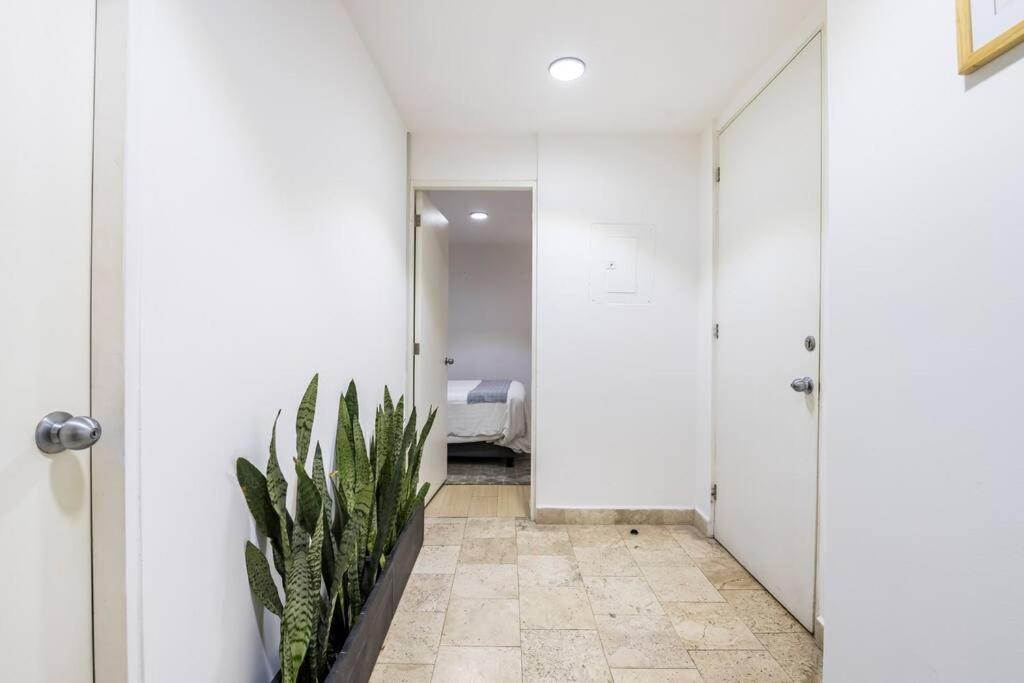 Loft Donceles 6 Cdmx! Appartement Mexico-stad Buitenkant foto
